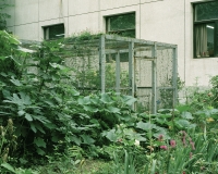 29_01.jpg
