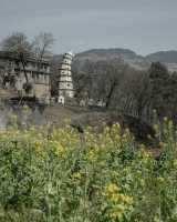 37_t02.jpg